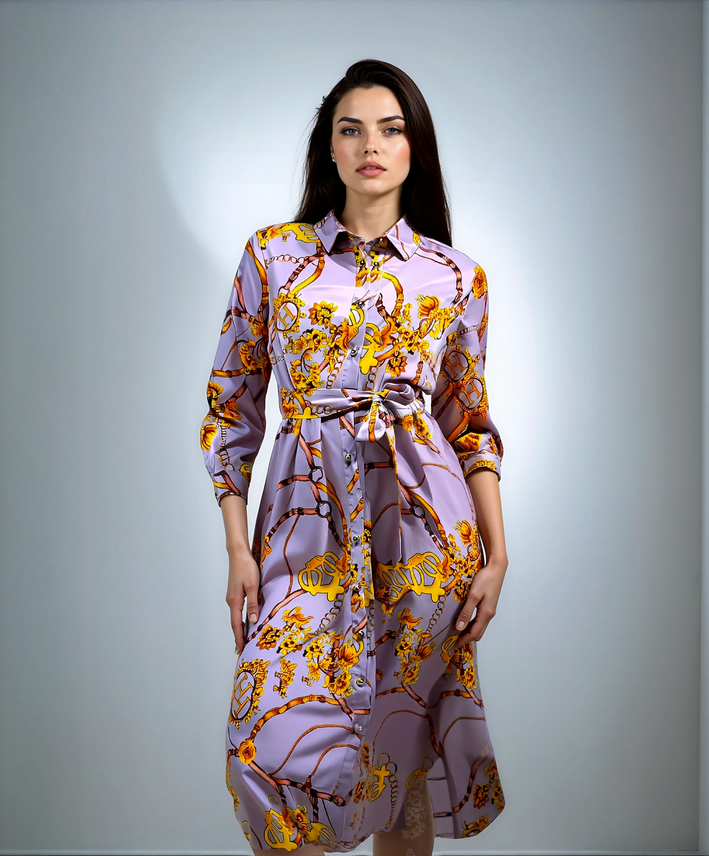 Vintage Large Swing Skirt Shirt Dress