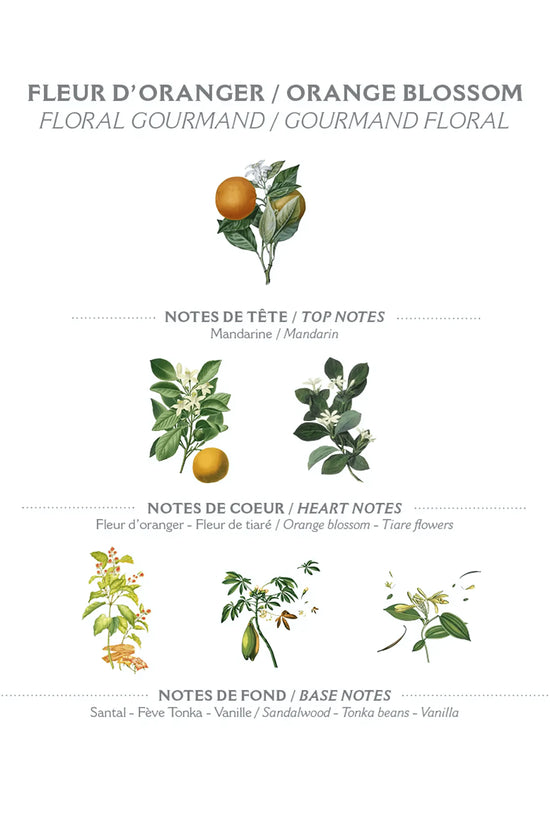 10 Pieces Luxury Orange Blossom Package - IVORYNN