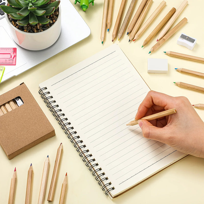 100 Set 12 Different Mini Drawing Colored Pencil