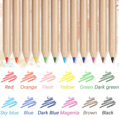 100 Set 12 Different Mini Drawing Colored Pencil