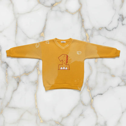 صورة علوية من الأعلى