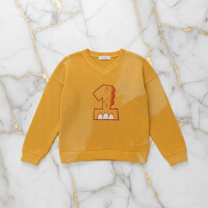 صورة أمامية للسويتر