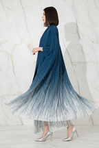 منظر جانبي للكوت الأزرق