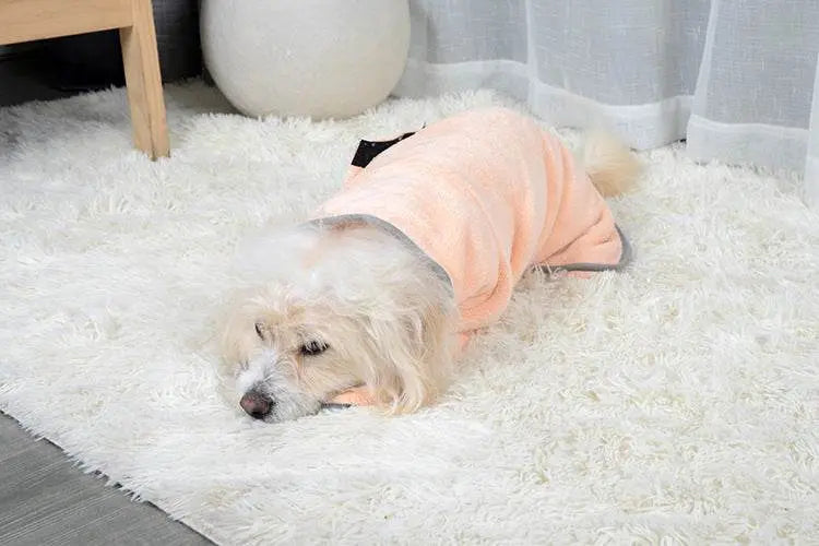 Quick-drying Pet Absorbent Towel - IVORYNN