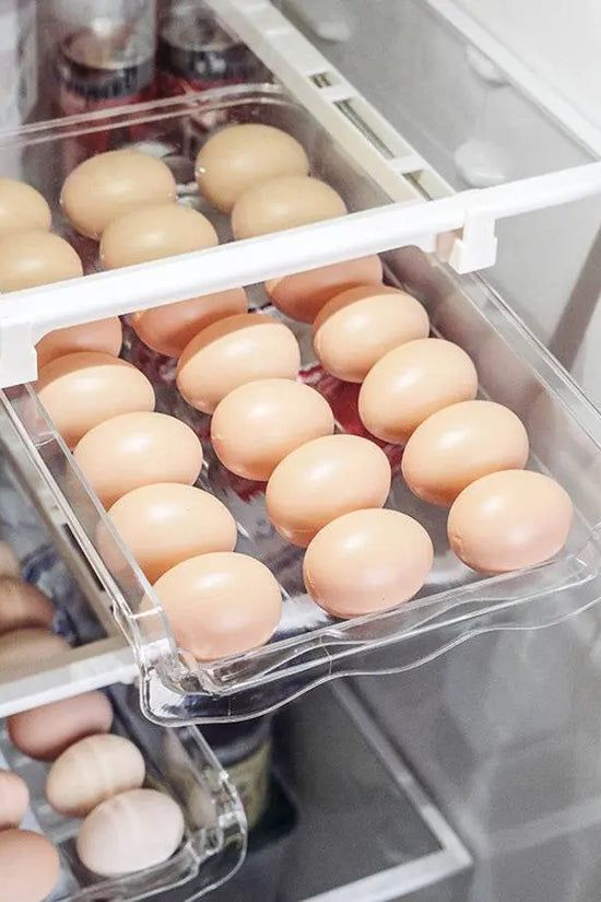 Shelf Holder Pull-out Rack Fridge - IVORYNN