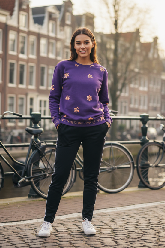 Amsterdam Canal Scene