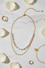 Flat lay with roses