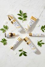 Sadoer Collagen - Top View