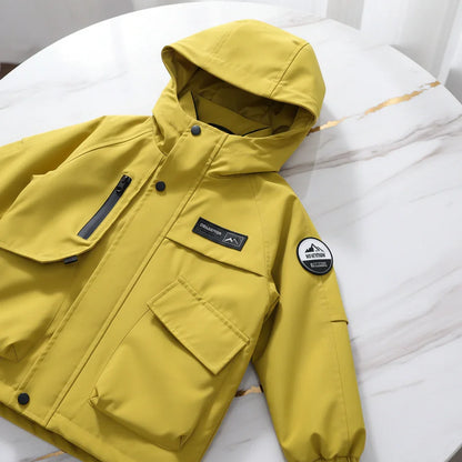 Yellow Jacket - Detail Shot