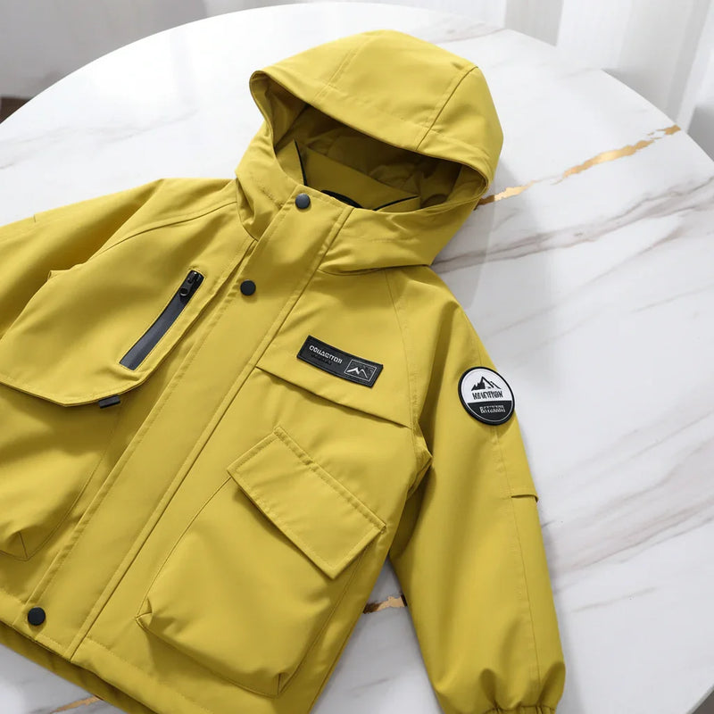 Yellow Jacket - Detail Shot