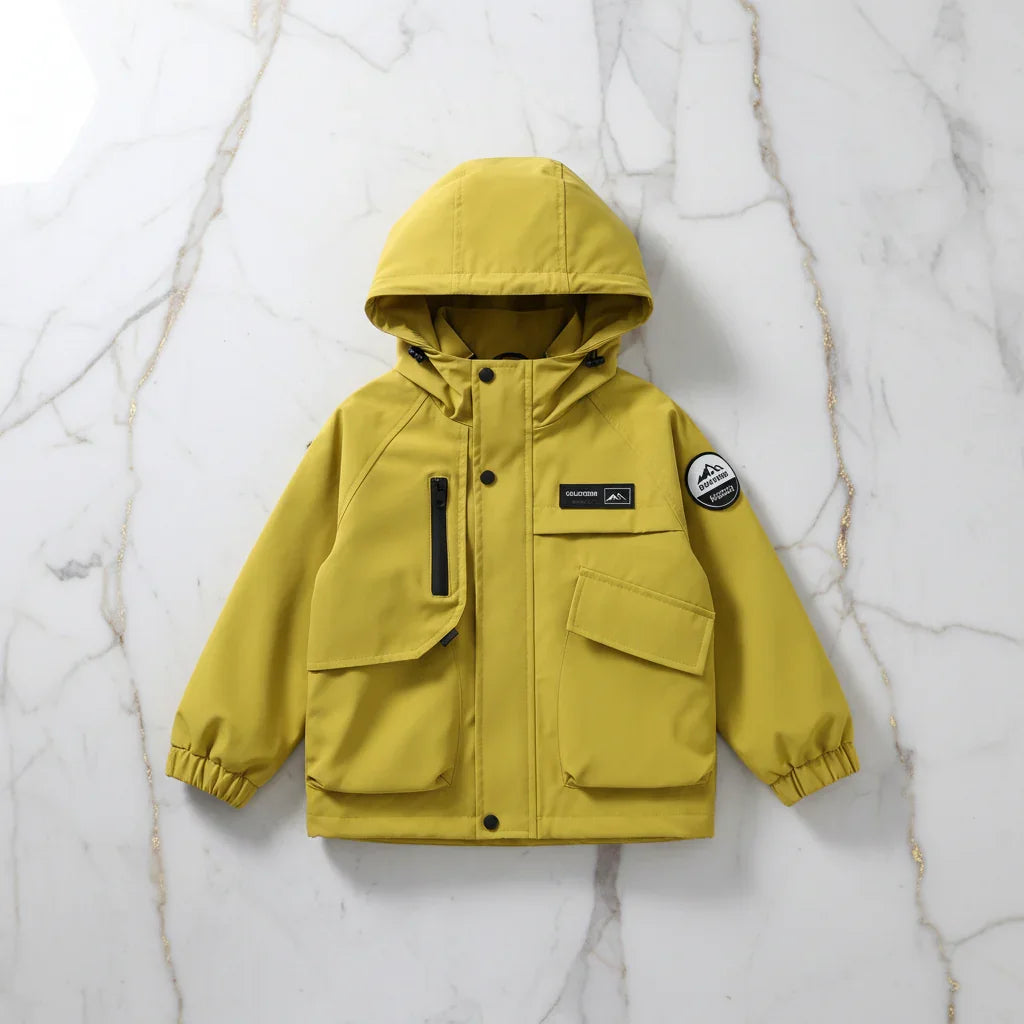 Yellow Jacket - Overhead Flat Lay