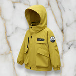 Yellow Jacket - Three Quarter View